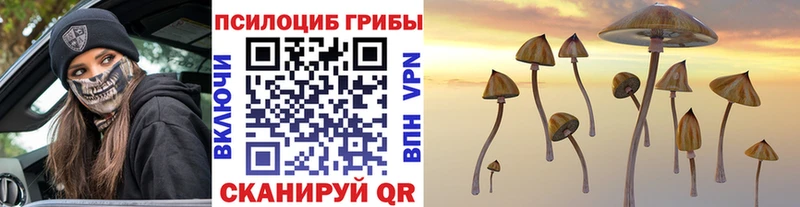 Псилоцибиновые грибы ЛСД  Обнинск 