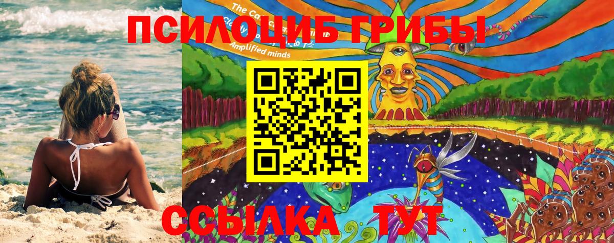 Галлюциногенные грибы Psilocybe  Вход с VPN  Галлюциногенные грибы мухоморы  Обнинск 
