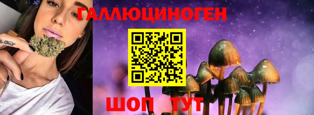 Псилоцибиновые грибы мухоморы Обнинск